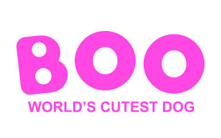 Boo the Dog Gifts, Collectibles and Merchandise in Canada!