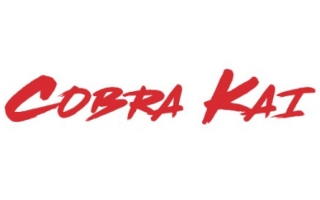 COBRA KAI Gifts, Collectibles and Merchandise in Canada!