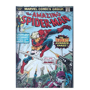 The Amazing Spider-Man Wooden Wall Art