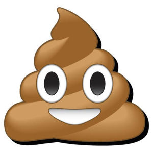 Emoji Poop Funky Chunky Magnet