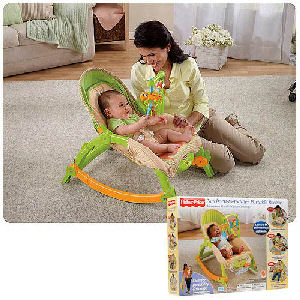 Newborn to Toddler Portable Rocker